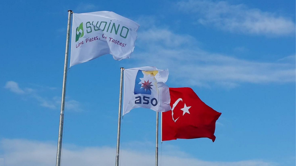 EBSO’dan ASO Gıda Sanayi’ye Başarı Ödülü: Kurutulmuş Meyvede İlk İki Arasında